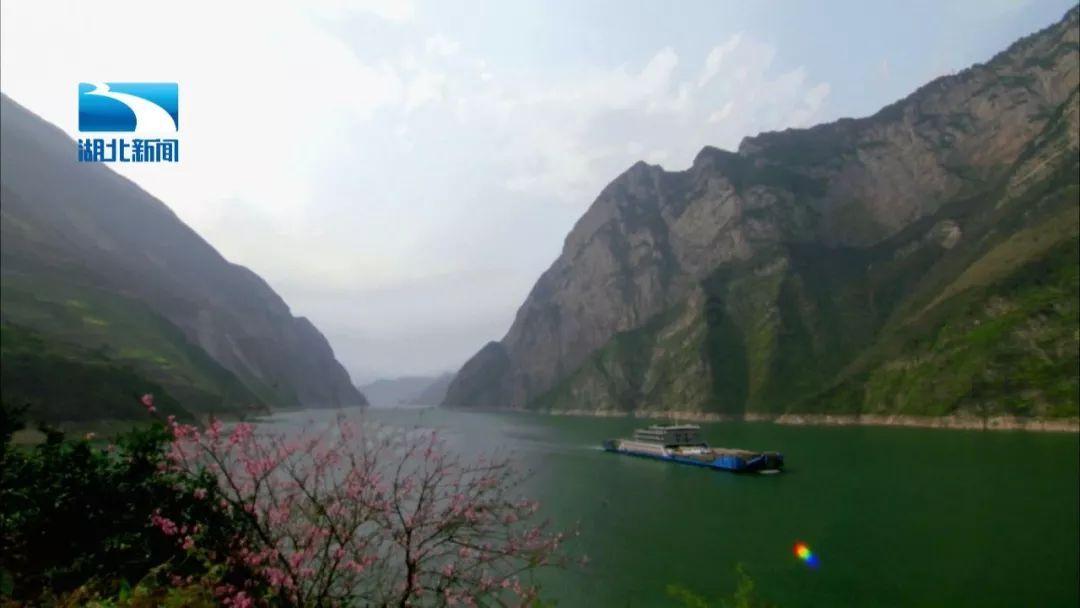 虫虫助手下载